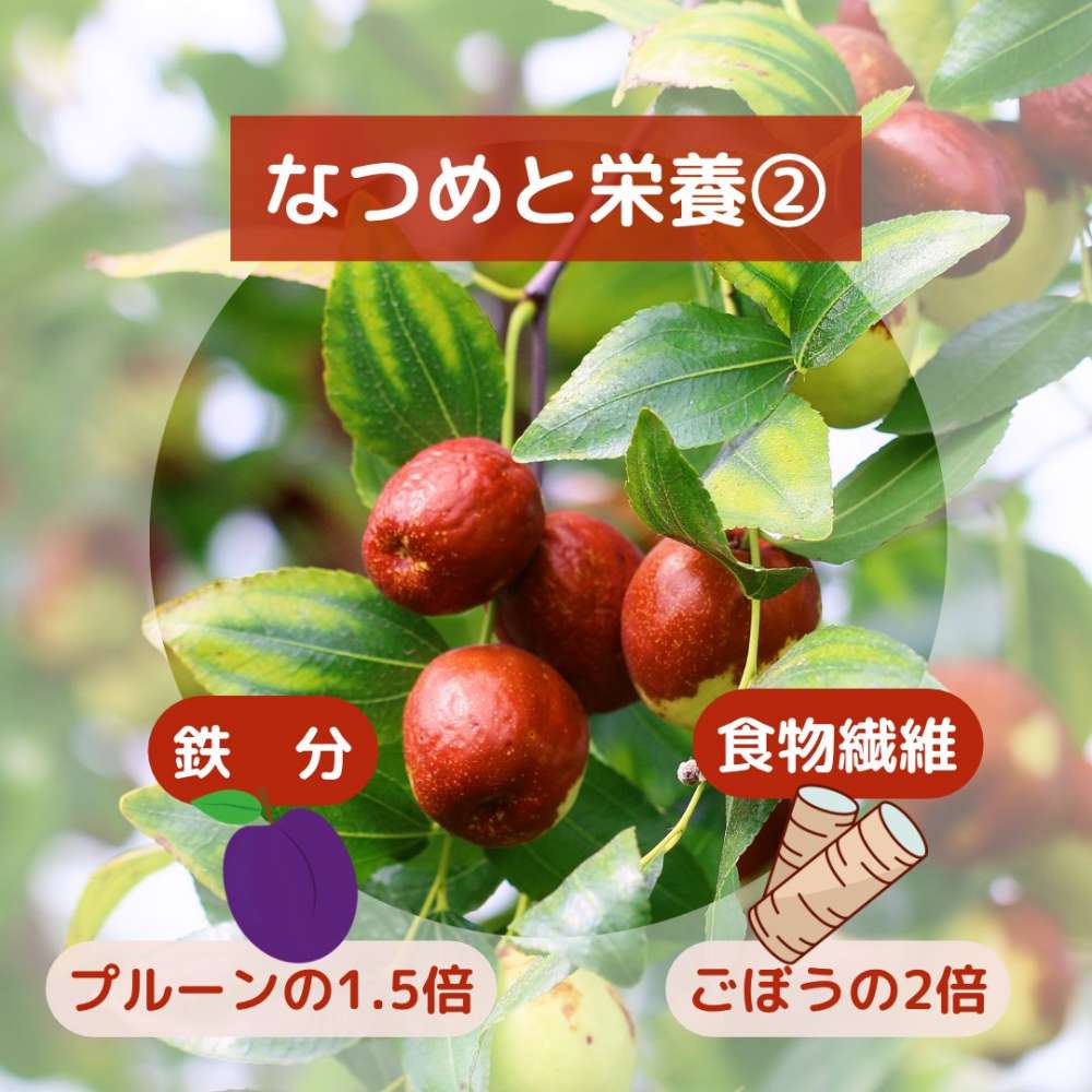 D62C6B50 CB5E 4D89 9009 A98F50232F1B